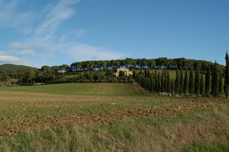 BIBBONA CAMPAGNA
